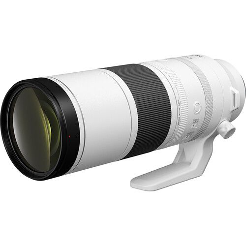 Canon RF 200-800mm F/6.3-9 IS USM lens (Canon RF)