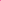 Savage Widetone Seamless Background Paper Tulip