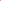 Savage Widetone Seamless Background Paper Tulip