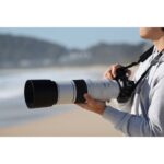 Canon RF 200-800mm F/6.3-9 IS USM lens (Canon RF)