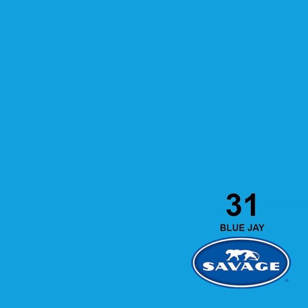 Savage 31-1253 Widetone Seamless Background Paper Blue Jay (A2 1.35m X 11m)