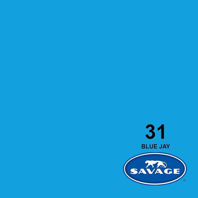 Savage 31-1253 Widetone Seamless Background Paper Blue Jay (A2 1.35m X 11m)