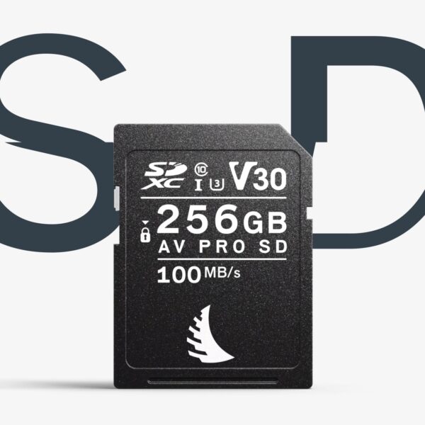 Angelbird AV Pro SD V30 128GB SDXC UHS-I Memory Card