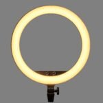 Godox LR150 Bi-Color LED Ring Light (18", Black)