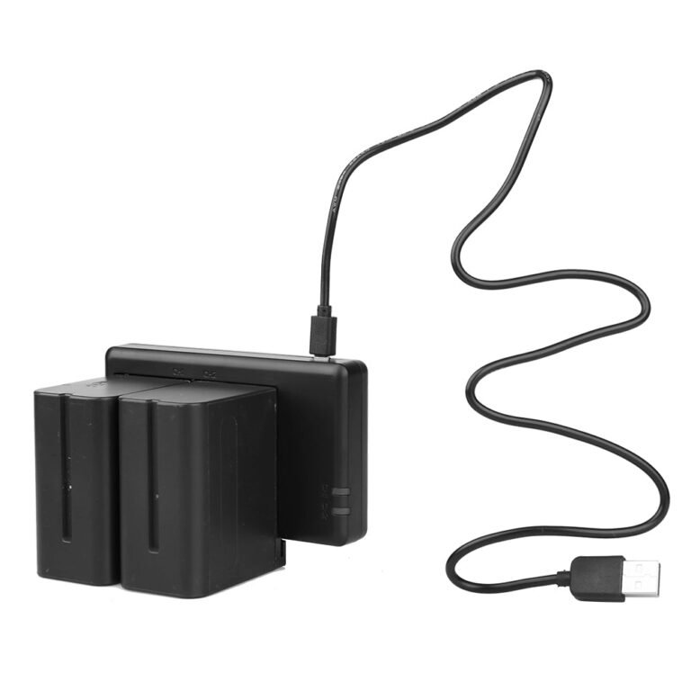 FBTech Dual NP Battery Charger