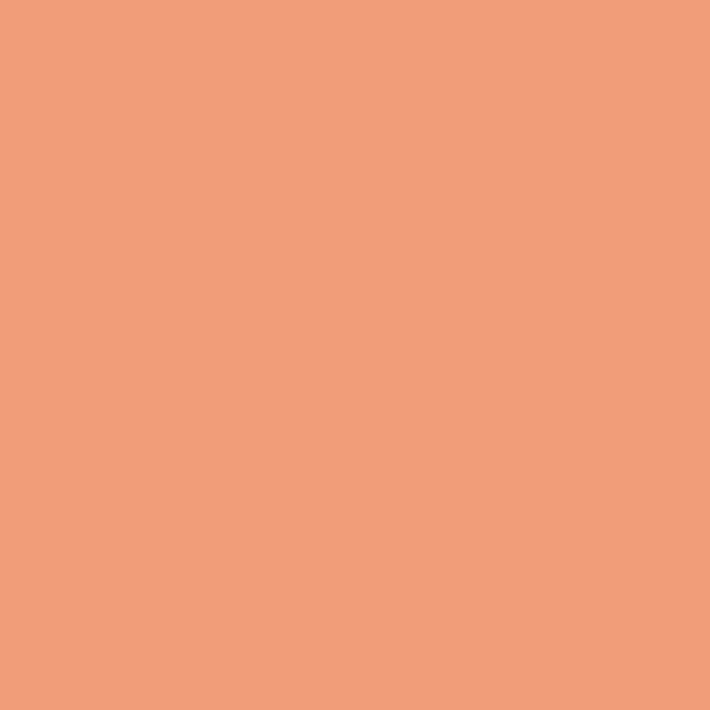 blush_pink.jpg Valido Lento Blush Pink Paper Background (2.7mx10m)