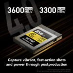 Lexar 256GB Professional Gold CFexpress 4.0 Type B Memory Card