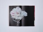 Sigma Foundation Photobook Hanataba - Image 2